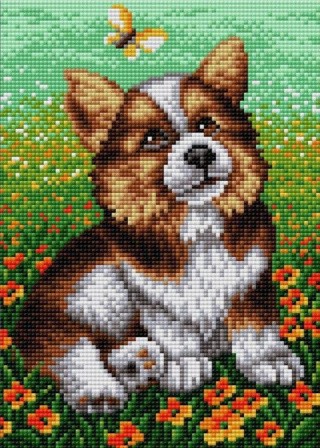 Алмазная вышивка «Малыш» Алмазная вышивка «Малыш»