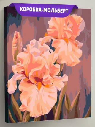 Картина по номерам «Розовые ирисы»