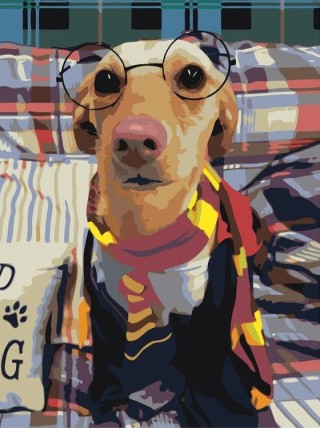 Картина по номерам «Собака в очках»