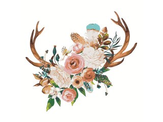 Картина по номерам «Рога» Картина по номерам «Рога»