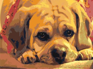 Картина по номерам «Грустный взгляд» Картина по номерам «Грустный взгляд»