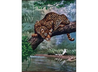 Набор вышивки бисером «Охота» Набор вышивки бисером «Охота»