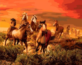 Картина по номерам «Табун бегущих лошадей»