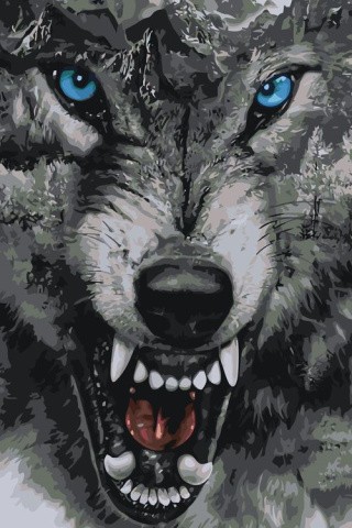 Картина по номерам «Рев волка»