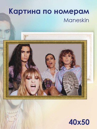 Картина по номерам «Maneskin»