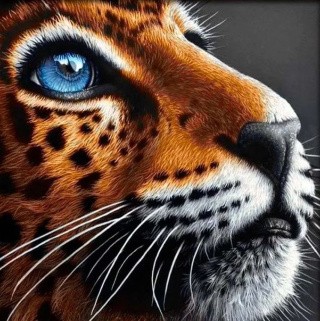 Алмазная вышивка «Синеглазый леопард»