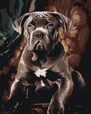 Картина по номерам «Собака Кане корсо щенок в кресле»