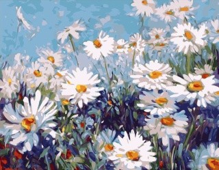 Картина по номерам «Поле ромашек» Картина по номерам «Поле ромашек»