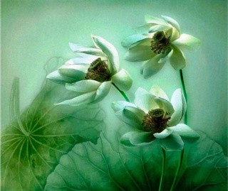 Алмазная вышивка «Ветер» Алмазная вышивка «Ветер»