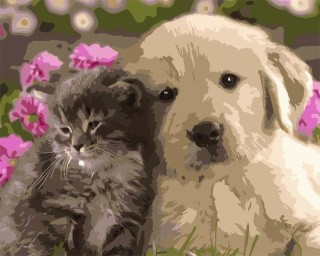 Картина по номерам «Котёнок и щенок» Картина по номерам «Котёнок и щенок»