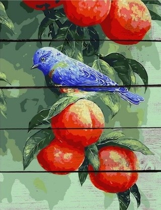 Картина по номерам по дереву RADUGA «Птица и фрукты»