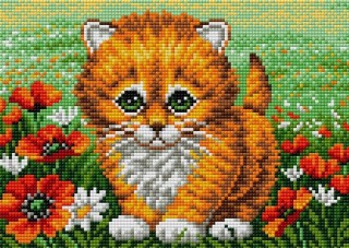 Алмазная вышивка «Рыжий котенок» Алмазная вышивка «Рыжий котенок»