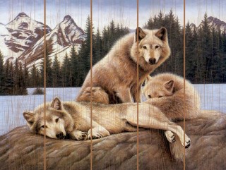 Картина по номерам по дереву «Семья островных волков»