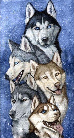 Алмазная вышивка «Упряжка хаски» Алмазная вышивка «Упряжка хаски»