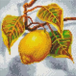 Алмазная вышивка «Лимон»