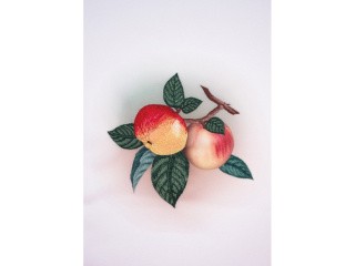 Набор для вышивания «Яблочко наливное»