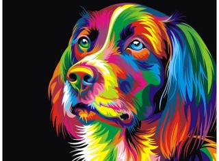 Картина цветным песком «Собака»