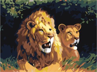 Картина по номерам «Пара львов»