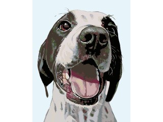 Картина по номерам «Сэм» Картина по номерам «Сэм»