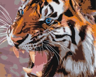Картина по номерам «Тигриный оскал»
