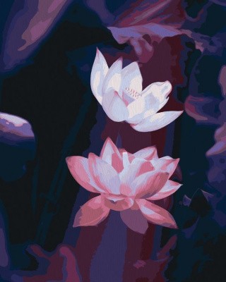 Картина по номерам «Розовая нежность» Картина по номерам «Розовая нежность»