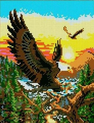 Рисунок на ткани «Полет орла»