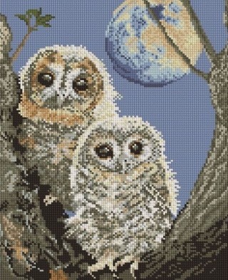 Алмазная вышивка «Совята» Алмазная вышивка «Совята»