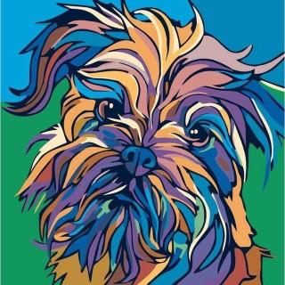 Картина по номерам «Разноцветный йорк»