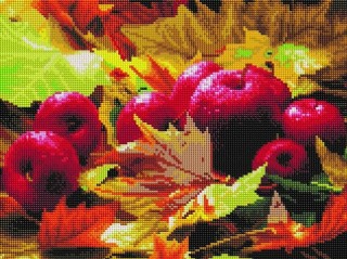 Алмазная вышивка «Осенний урожай» Алмазная вышивка «Осенний урожай»