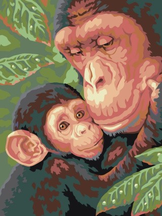 Картина по номерам «Семейство обезьян»
