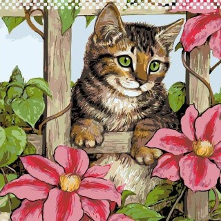 Картина по номерам «За цветущей оградой»