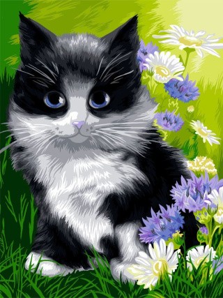 Картина по номерам «Василек» Картина по номерам «Василек»