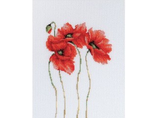 Набор для вышивания «Маки» Набор для вышивания «Маки»