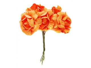 Набор цветов «Камелия оранжевая»