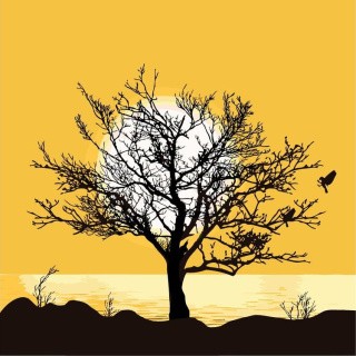 Картина по номерам «Дерево на закате»