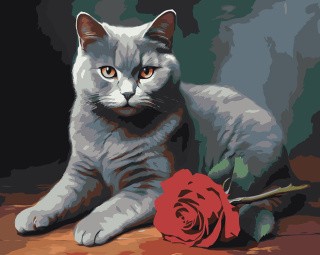 Картина по номерам «Британский кот с красной розой»