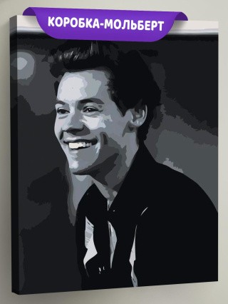 Картина по номерам «Harry Styles» Картина по номерам «Harry Styles»