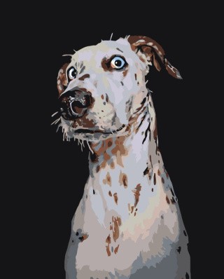 Картина по номерам «Глория» Картина по номерам «Глория»