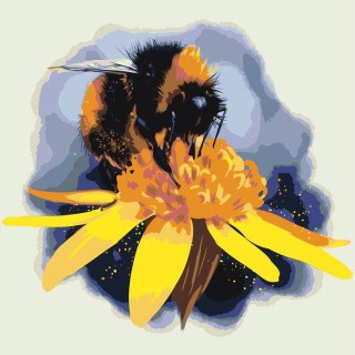 Картина по номерам «Пчела»