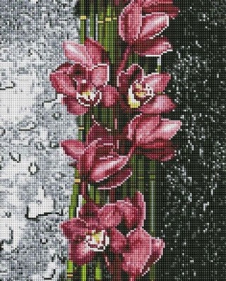 Алмазная вышивка «Распустившаяся орхидея»