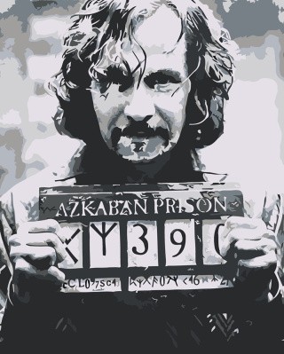 Картина по номерам «Гарри Поттер: Сириус Блэк»