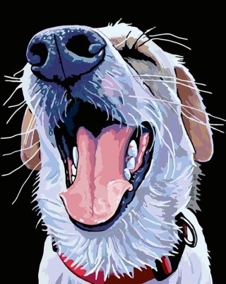 Картина по номерам «Эдди» Картина по номерам «Эдди»