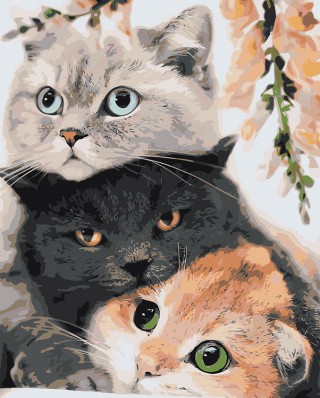 Картина по номерам «Котики: Серый, черный и рыжий кот 40х50»