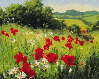 Картина по номерам «Луговые цветы» Картина по номерам «Луговые цветы»