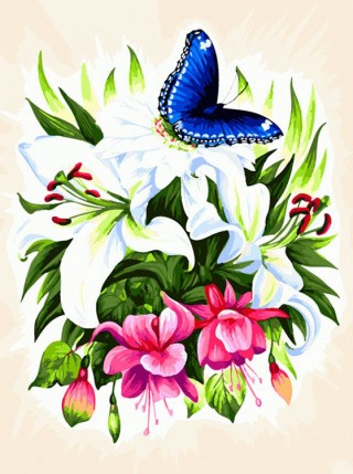 Картина по номерам «Бабочка в ботаническом саду»