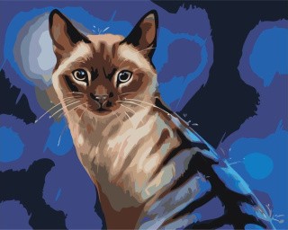 Картина по номерам «Кот под дождём» Картина по номерам «Кот под дождём»