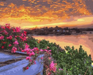 Картина по номерам «Закат на цветущей крыше»
