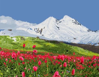 Картина по номерам «Горы в снегу»