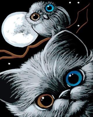 Картина по номерам «Ночные совушки» Картина по номерам «Ночные совушки»