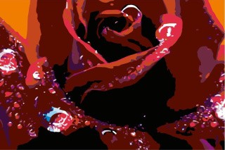 Картина по номерам «Пламенная роза»